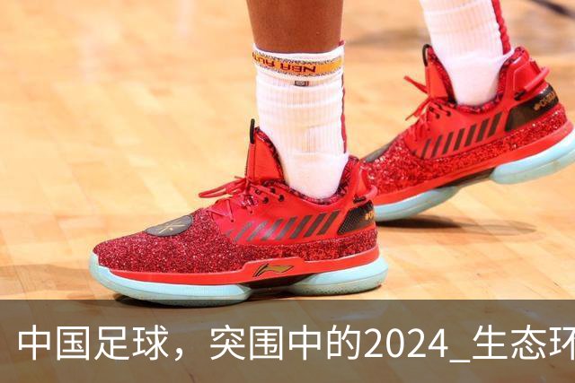 中国足球，突围中的2024 生态环境将实现好转
