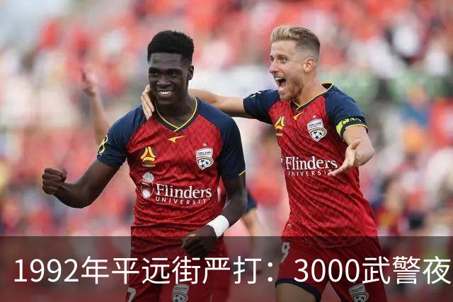 1992年平远街严打：3000武警夜袭，81天彻底捣毁边境“独立王国”