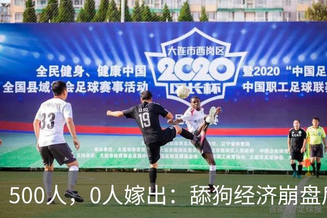 500人，0人嫁出：舔狗经济崩盘后，婚姻不再是必答题
